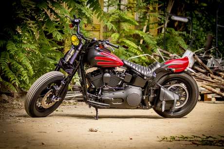 Harley-Davidson 1450 Heritage Springer — Fiancata sinistra completa all'aperto, tra felci e legname accatastato.