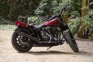Harley-Davidson 1450 Heritage Springer — Tre quarti posteriore sinistro tra la vegetazione.