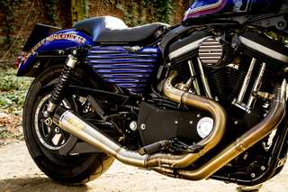 Harley-Davidson 883 Iron — Fiancata destra bassa: motore, collettori 2-in-1, pedana, ammortizzatore.