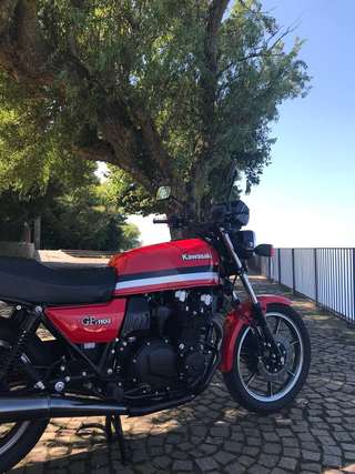 Kawasaki GPz 1100 — Tre quarti anteriore sotto un albero, luce piena.